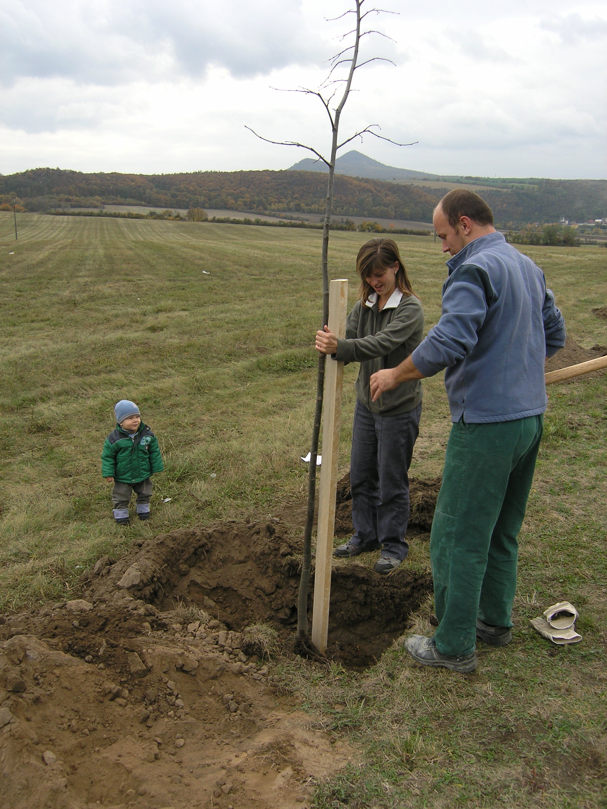 PA282582.JPG