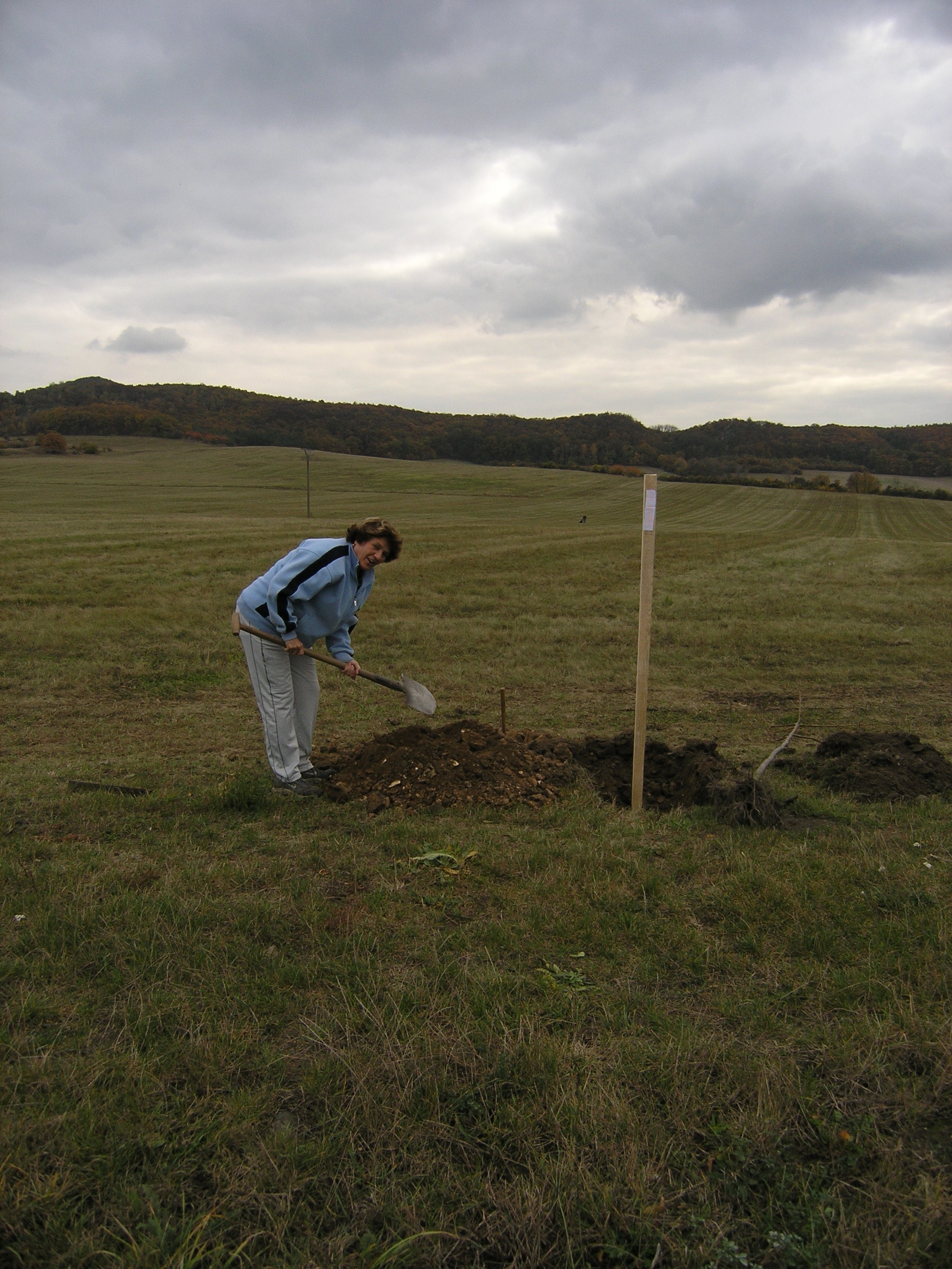 PA282558.JPG