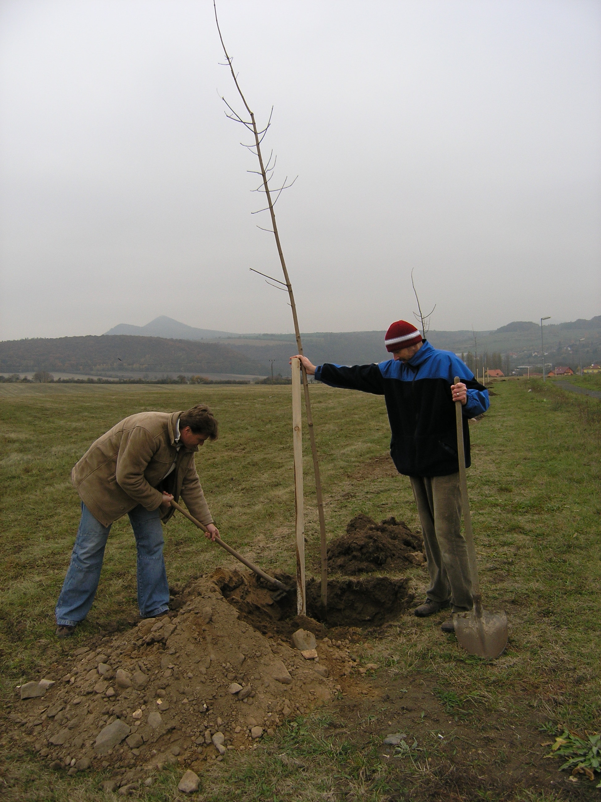 PA312717.JPG