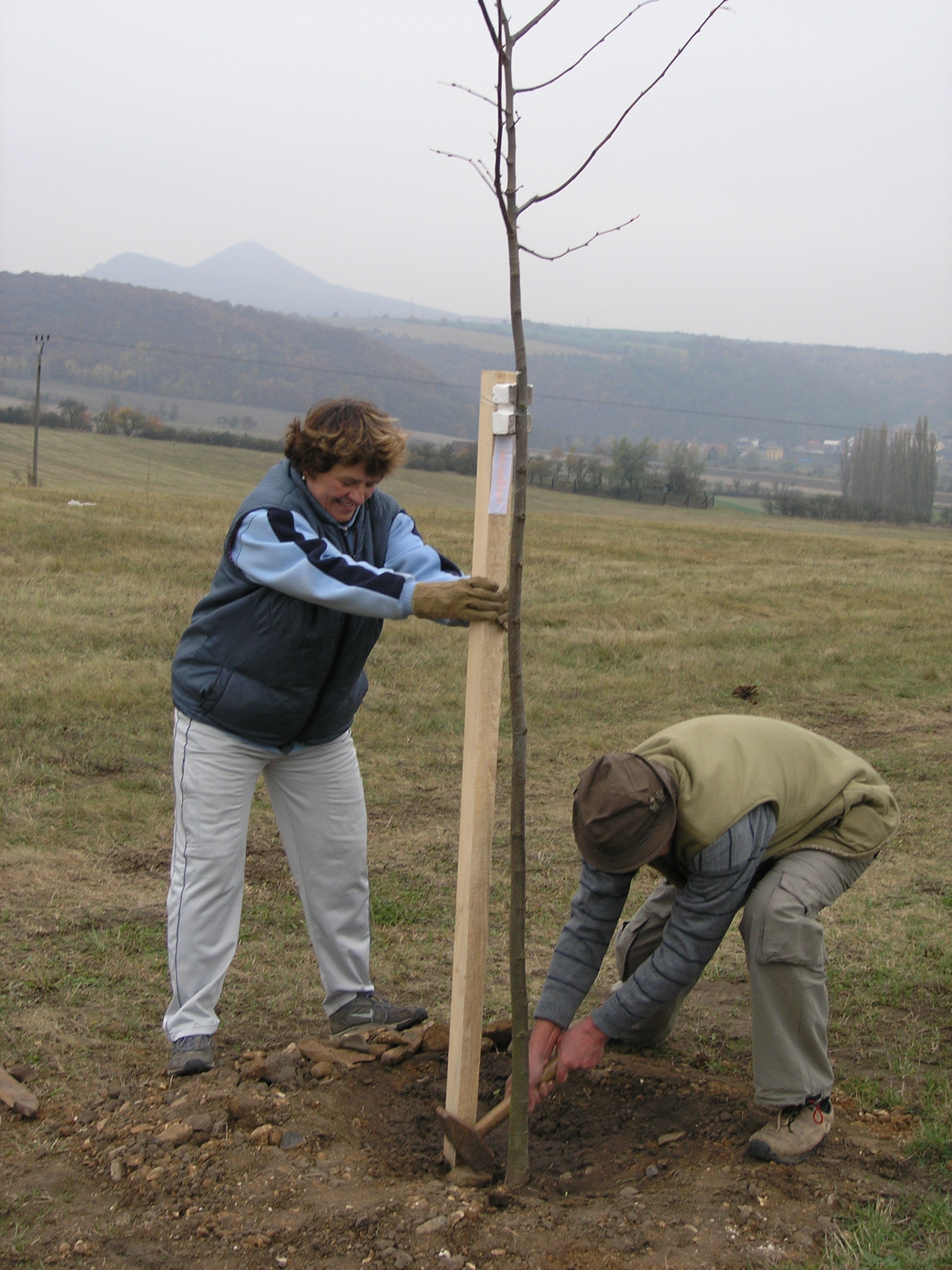 PA312760.JPG
