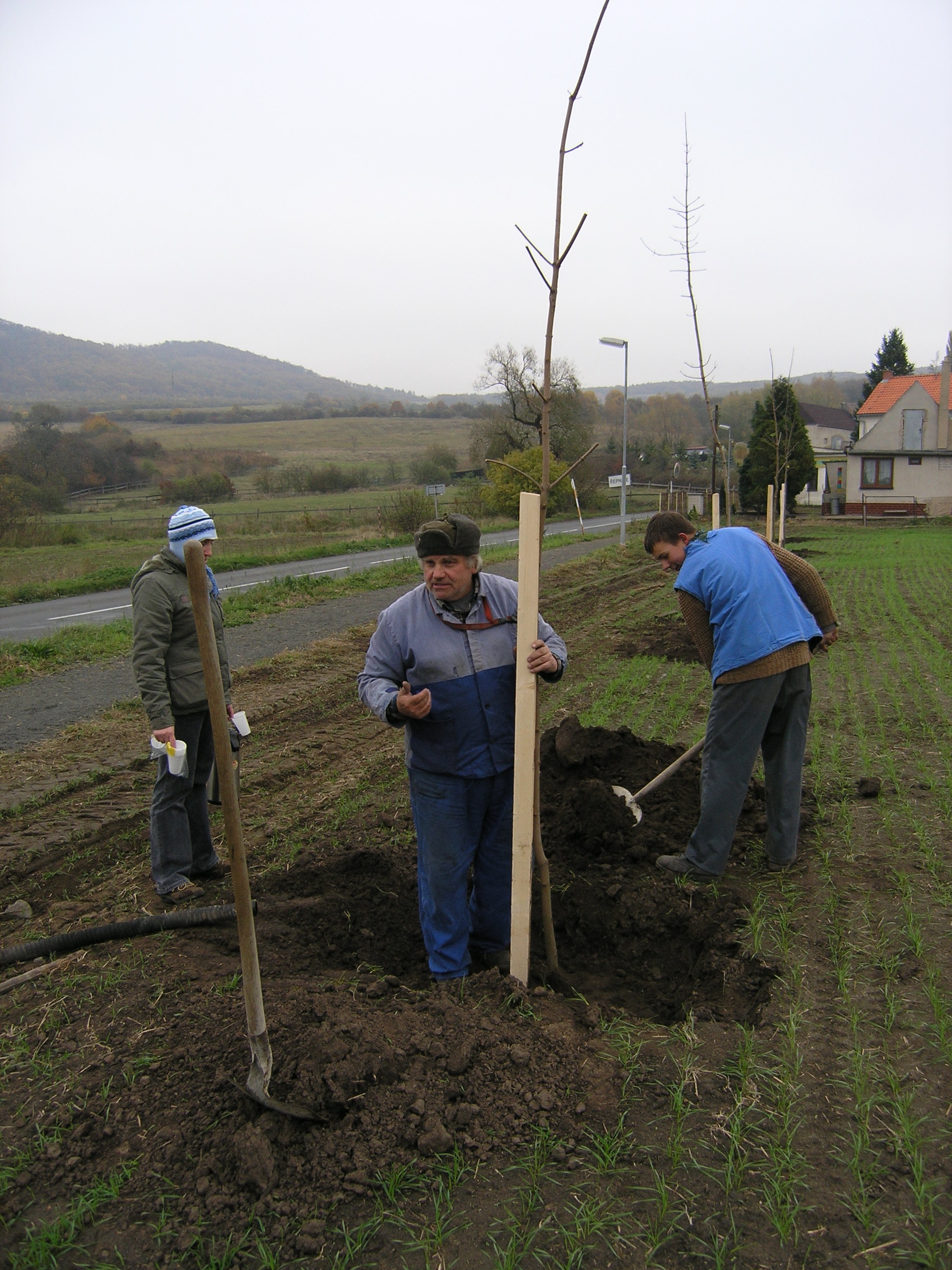 PA312768.JPG