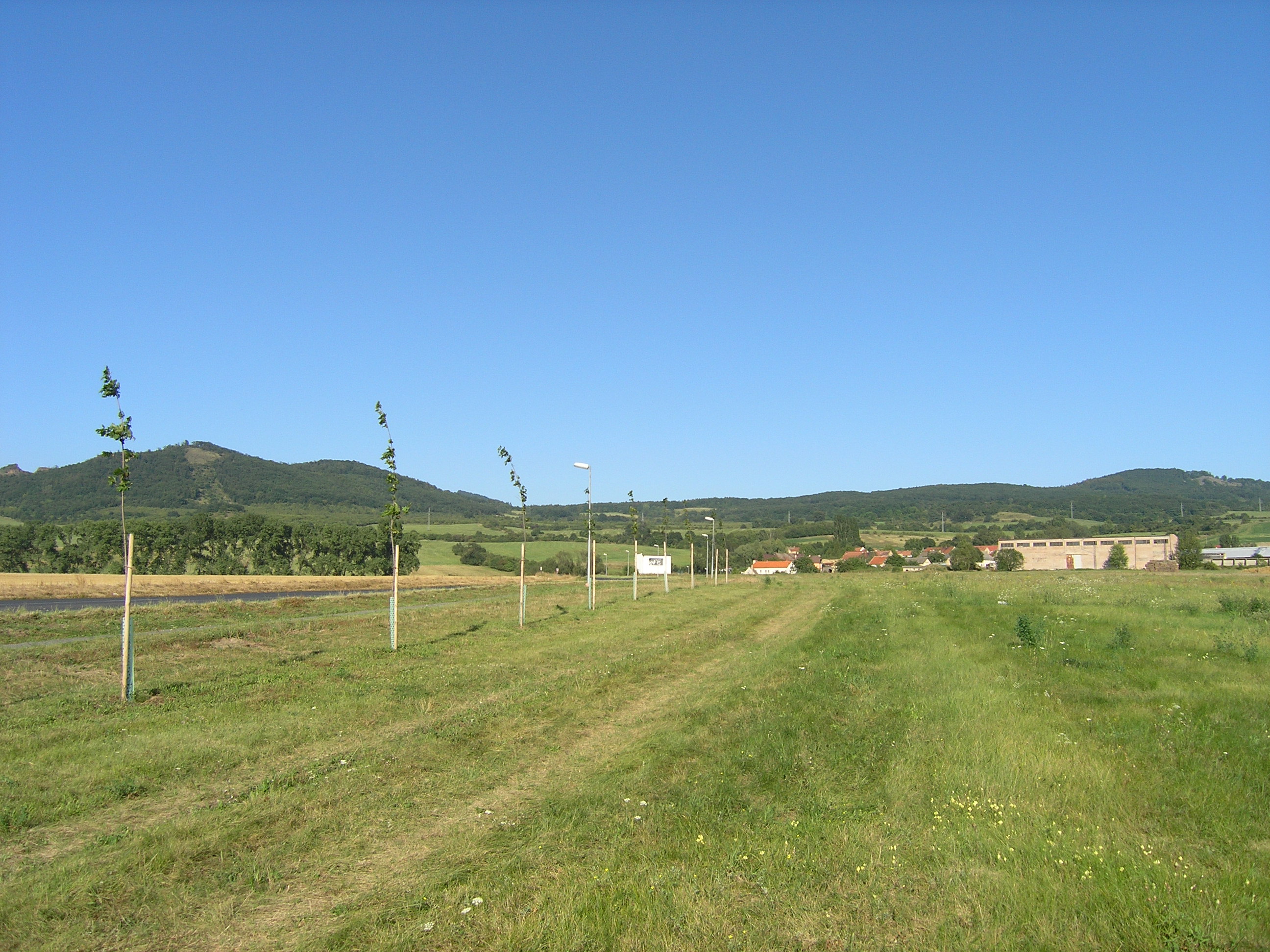 P8201136.JPG